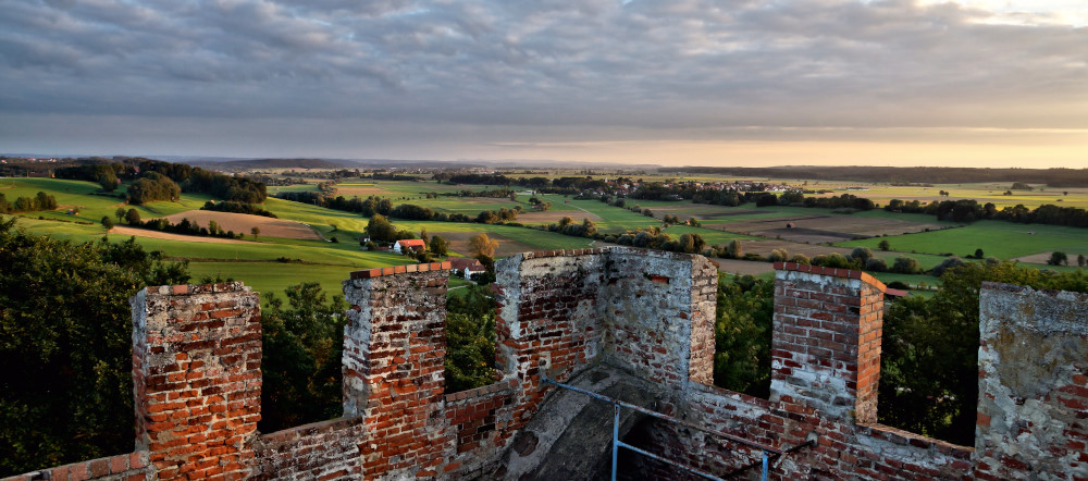 7. Platz Harald Unglert
